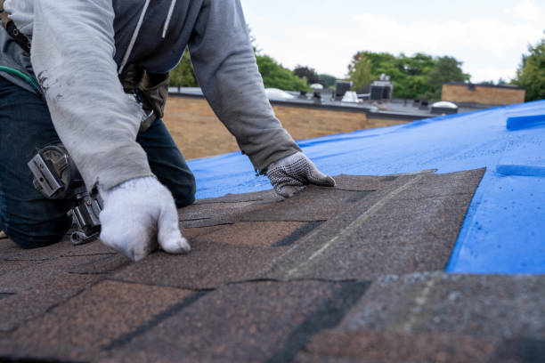 Quick and Trustworthy Emergency Roof Repair Services in Fern Acres, HI