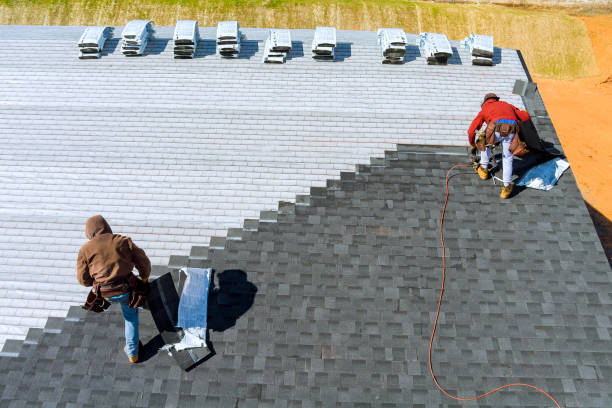 Best Roof Waterproofing Services  in Fern Acres, HI