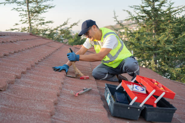 Best Roof Maintenance Services  in Fern Acres, HI