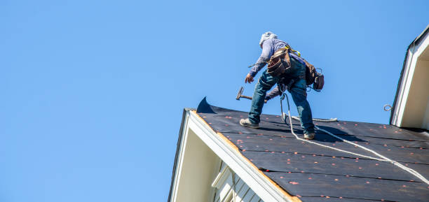 Roof Waterproofing Services in Fern Acres, HI